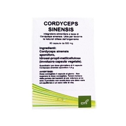 Cordyceps sinensis 60 capsule