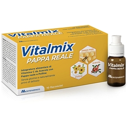 Vitalmix pappa reale 10 flaconcini x10 ml s/gl