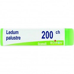 Ledum palustre 200 ch globuli