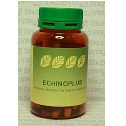 Echinoplus 60 capsule