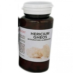 Hericium gheos 90 capsule 540 mg