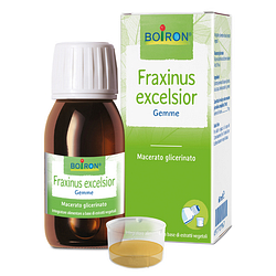 Fraxinus excelsior macerato glicerico 60 ml int