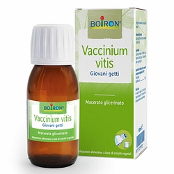 Vaccinium vitis macerato glicerico 60 ml int