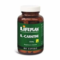 L carnitine 500 mg 60 capsule