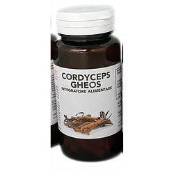Cordyceps gheos 90 capsule da 540 mg