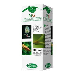 Ribes macerato glicerico 100 ml