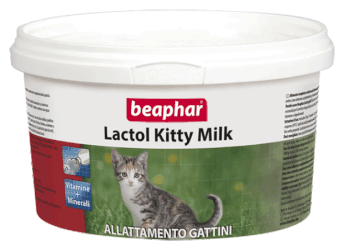 Lactol latte gattino powder 200 g
