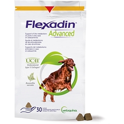 Flexadin advanced cane tutte le taglie 30 tavolette appetibili