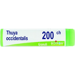 Thuya occidentalis 200 ch globuli